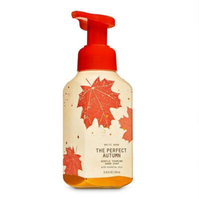 BATH & BODY CLEANSING HAND WASH  the perfect autumn Hand wash