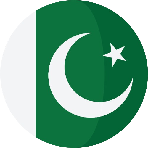 Made in pakistan Icon