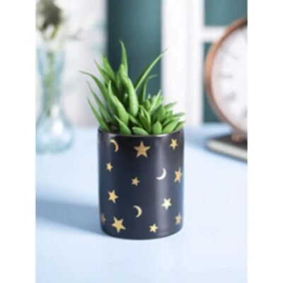 Moon and Stars Pot with Flower